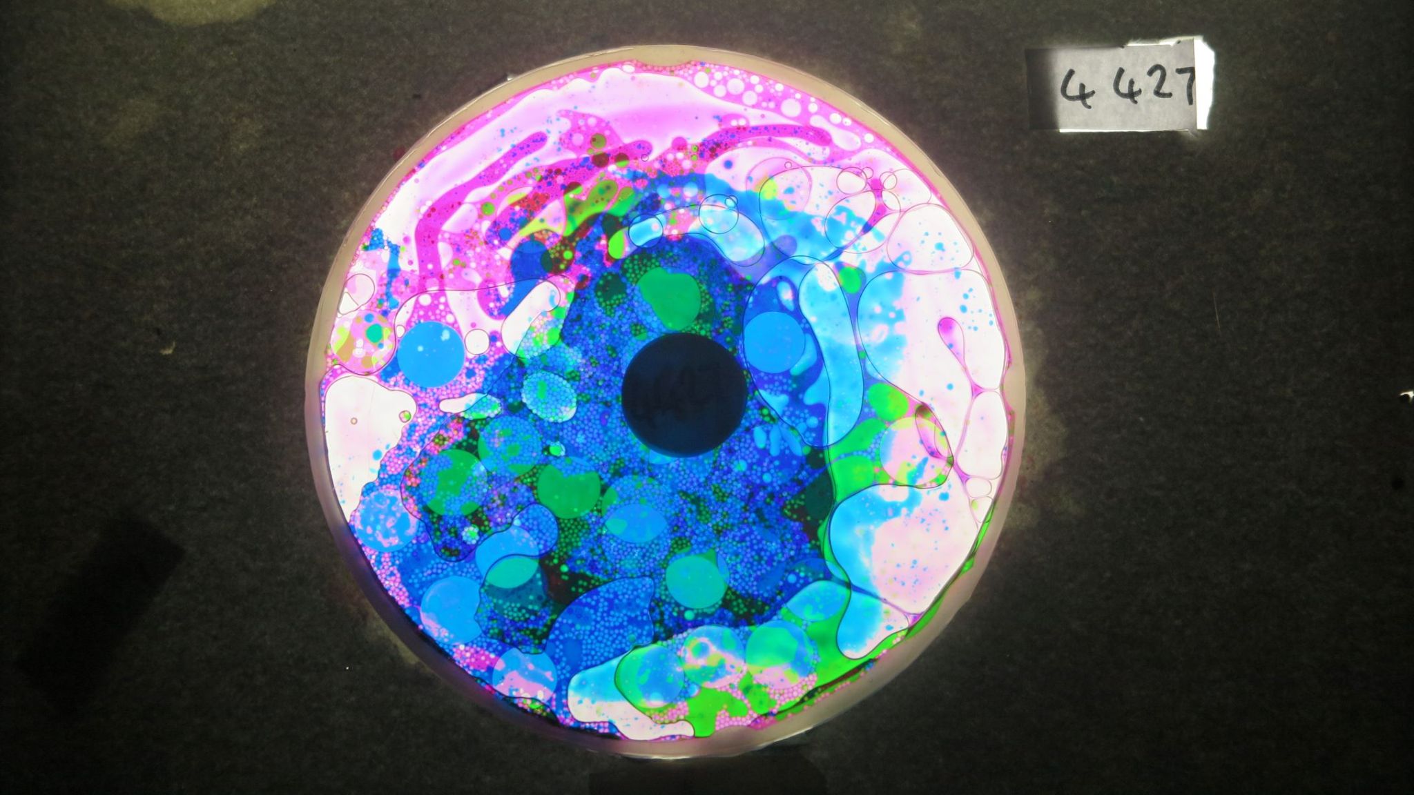 BV4427 bubble vision oil wheel